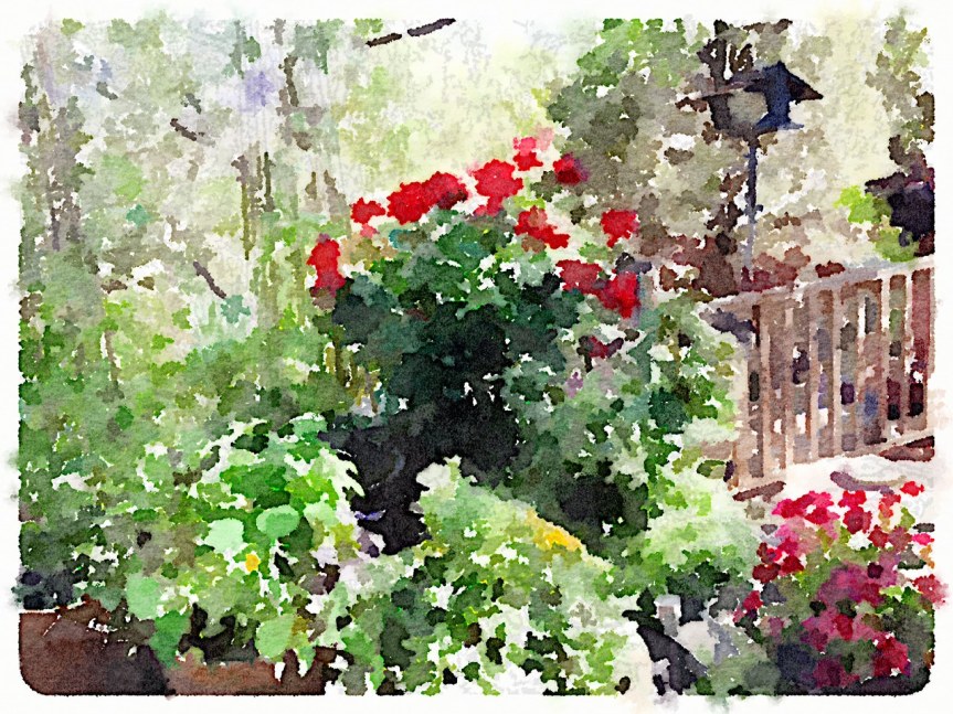 ffwd – salmon&nbsp;rillettes