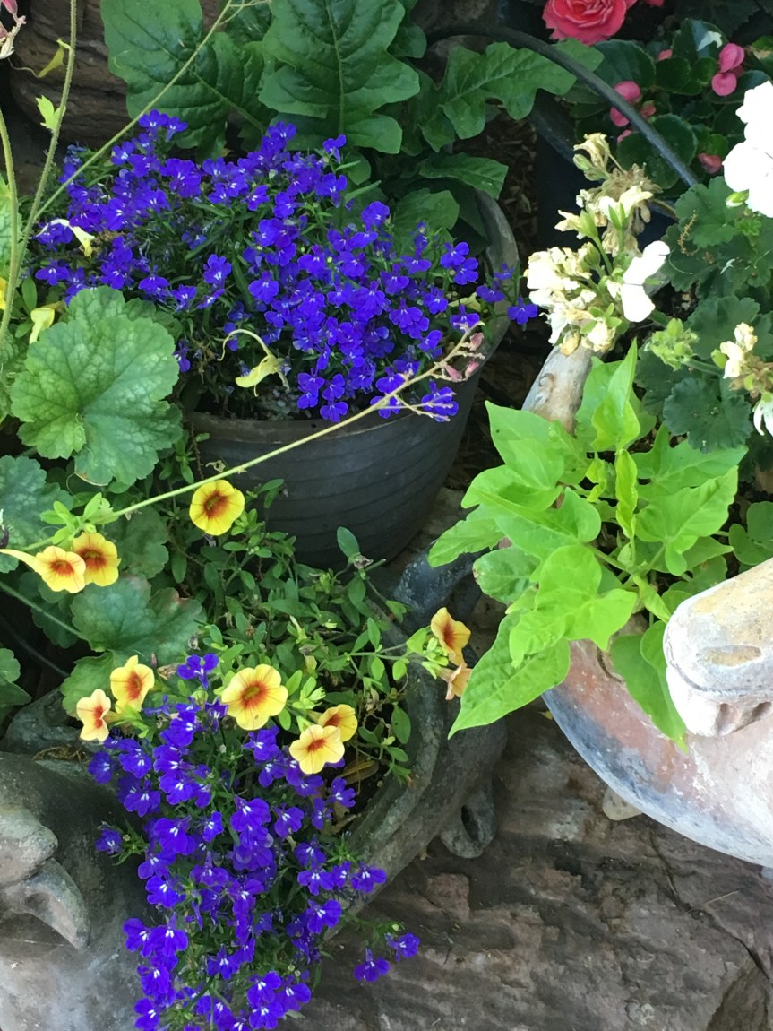 MDS – a disease you can&nbsp;fight